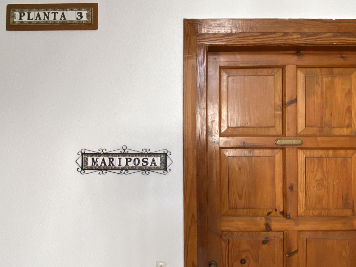 נרחה Mariposa Studio Casasol מראה חיצוני תמונה